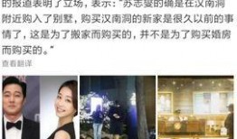 韩媒爆料结婚了吗视频下载,明星夫妻甜蜜视频下载，幸福瞬间引网友热议