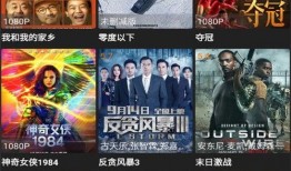 流浪者最新版本爆料视频,全新爆料视频深度解析