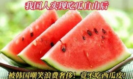 韩国人免费吃瓜,全民免费共享“吃瓜”盛宴