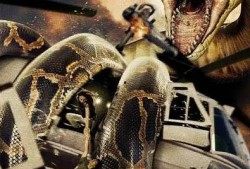 巨蟒惊魂在线观看,惊悚探险，生死逃亡