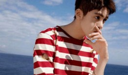 圈内扒叔爆料吴磊赵露思,扒叔独家爆料，甜蜜互动引粉丝热议