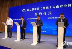 昌乐最新爆料消息新闻,揭秘事件背后惊人真相！