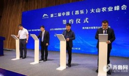 昌乐最新爆料消息新闻,揭秘事件背后惊人真相！