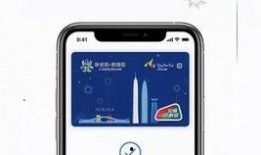 苹果程序员爆料视频在哪看,观看途径及精彩内容抢先看
