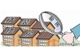 交房爆料视频大全最新,视频大全深度解析