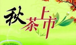 秋茶最新爆料新闻,揭秘最新爆料背后的行业变革