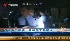 茂名真实爆料新闻视频播放,视频揭露惊人真相，网友热议不断！