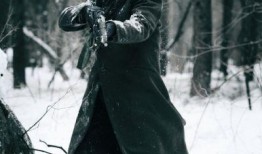 在线观看电视剧悬崖,谍战风云下的生死较量