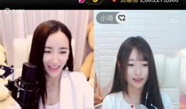 yy文静昨晚爆料视频,揭秘娱乐圈不为人知的一面