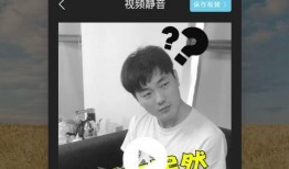 在线观看作视频