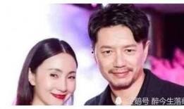 娱乐圈爆料是掩盖什么,揭开真相背后的掩盖面纱