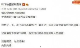 叶飞最新爆料股,揭秘股市风云再起