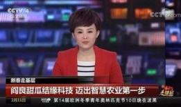 央4直播在线观看,实时掌握精彩瞬间，畅享在线观看体验