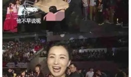 娱乐圈爆料是掩盖什么,揭开真相背后的掩盖面纱