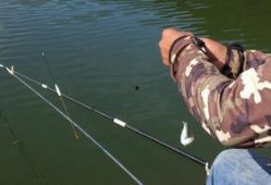 新瓜最新爆料钓鱼视频大全,钓鱼视频大全深度解析