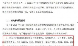 叶飞最新爆料股,揭秘股市风云再起