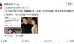 韩媒爆料结婚了吗视频下载,明星夫妻甜蜜视频下载，幸福瞬间引网友热议