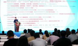 前锋新联动爆料视频大全