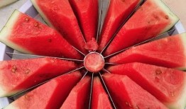 每日大赛吃瓜免费,免费畅享精彩瞬间