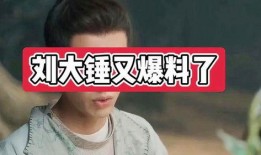 刘大锤收钱爆料视频大全,揭秘娱乐圈幕后真相