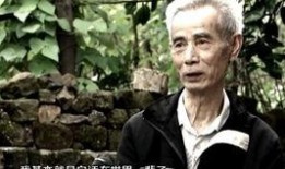 冤案视频爆料最新,真相背后，正义何时归来？